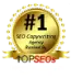 top-seo-badge-home